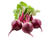 REMOLACHA