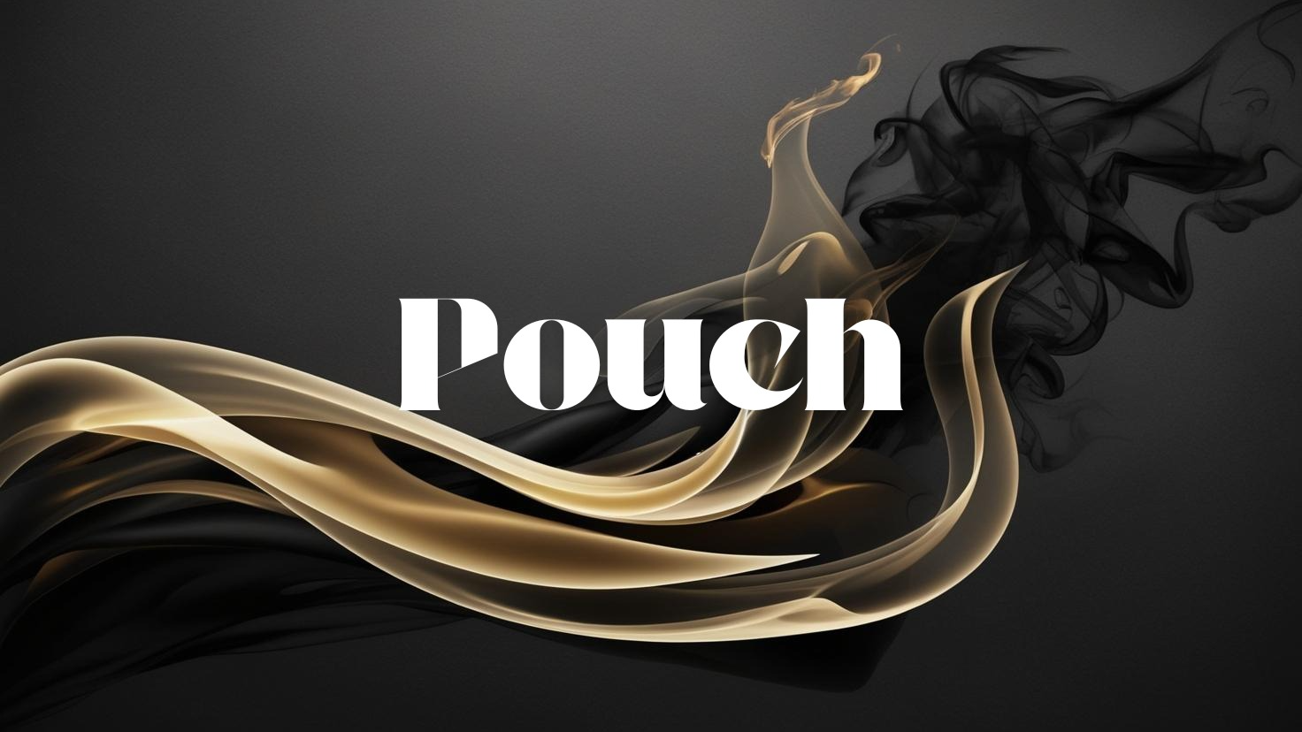 POUCHES NICOTINA