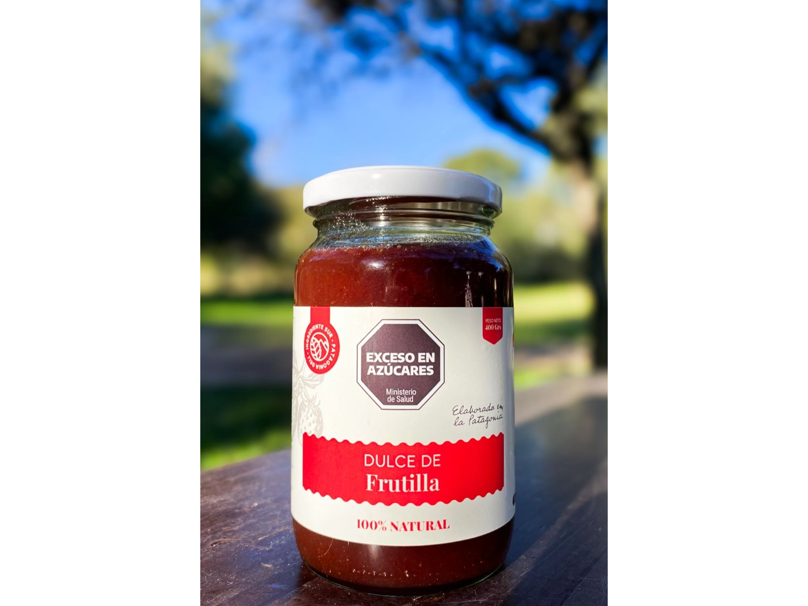 Dulce de frutillas x 454 grs Ingrediente Sur