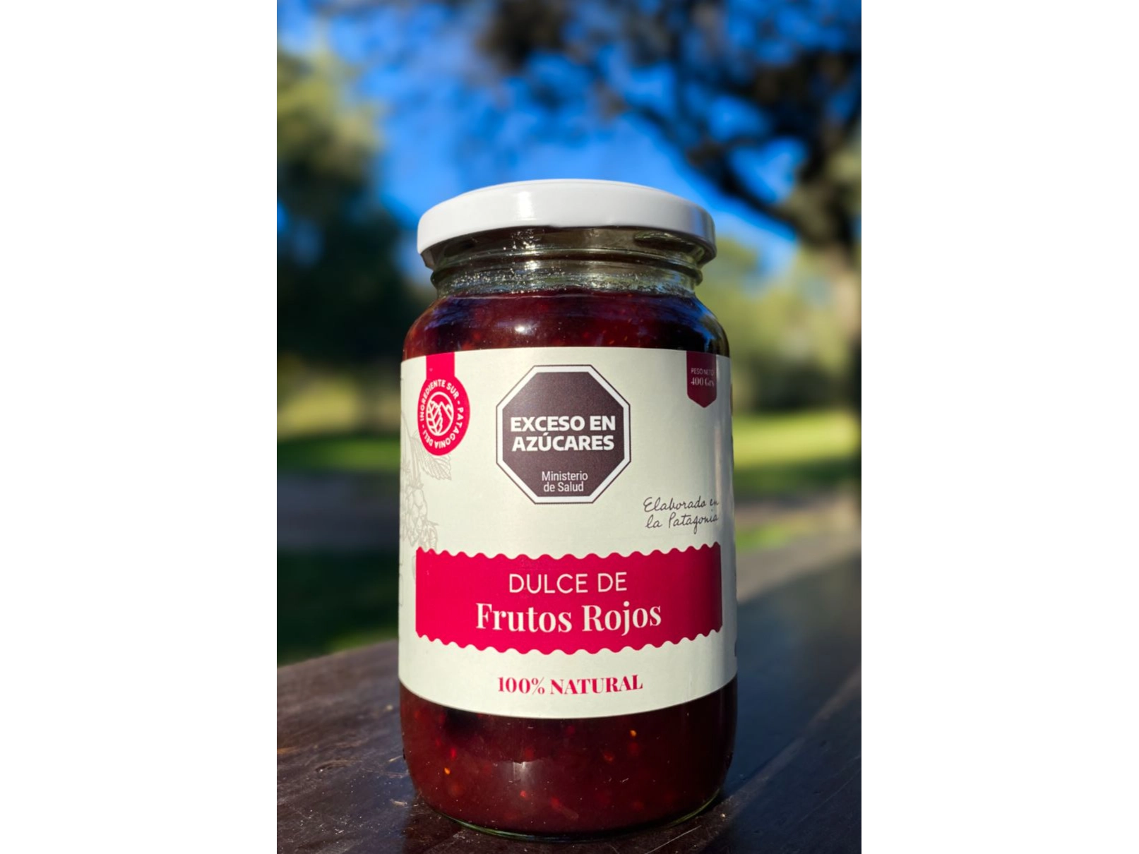 Dulce de frutos rojos x 454 grs Ingrediente Sur