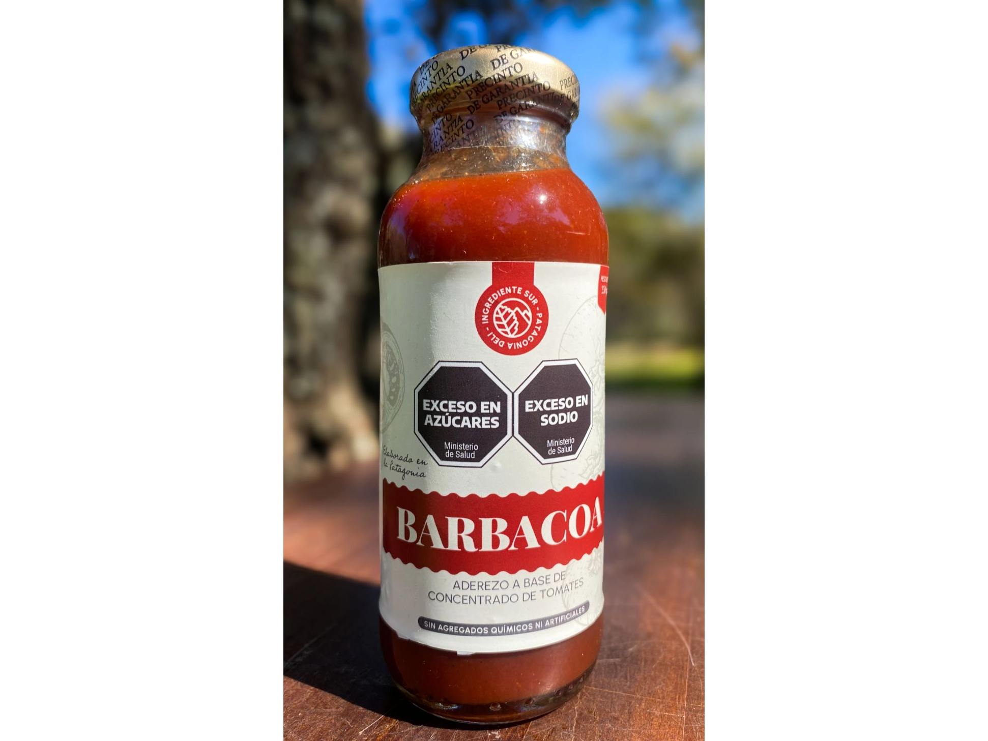 Salsa barbacoa artesanal estilo patagónico x 250 grs Ingrediente Sur