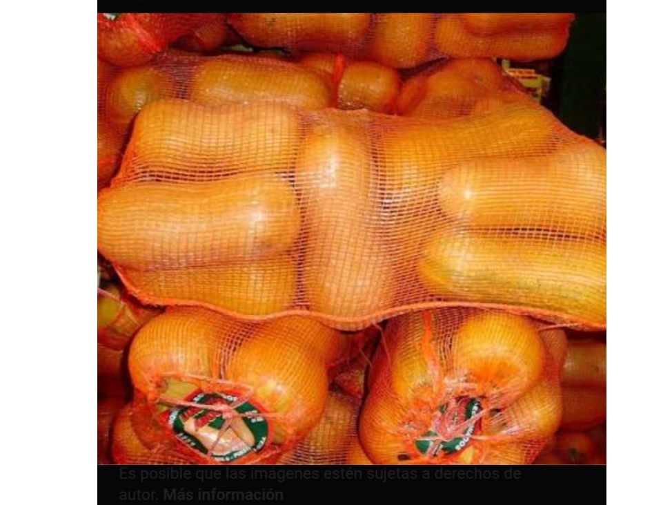 Bolsa de Calabaza