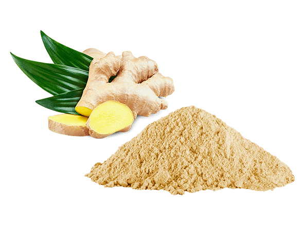 Jengibre En Polvo