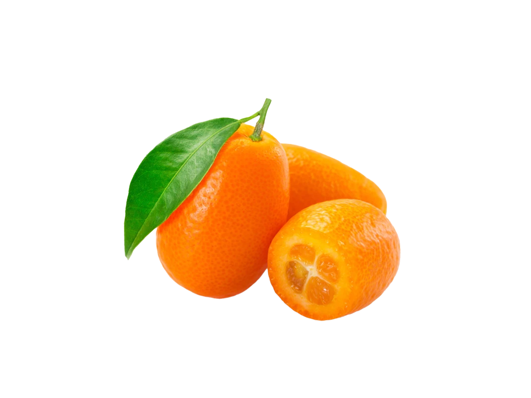 Quinotos