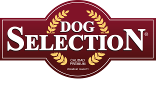 DOG SELECTION