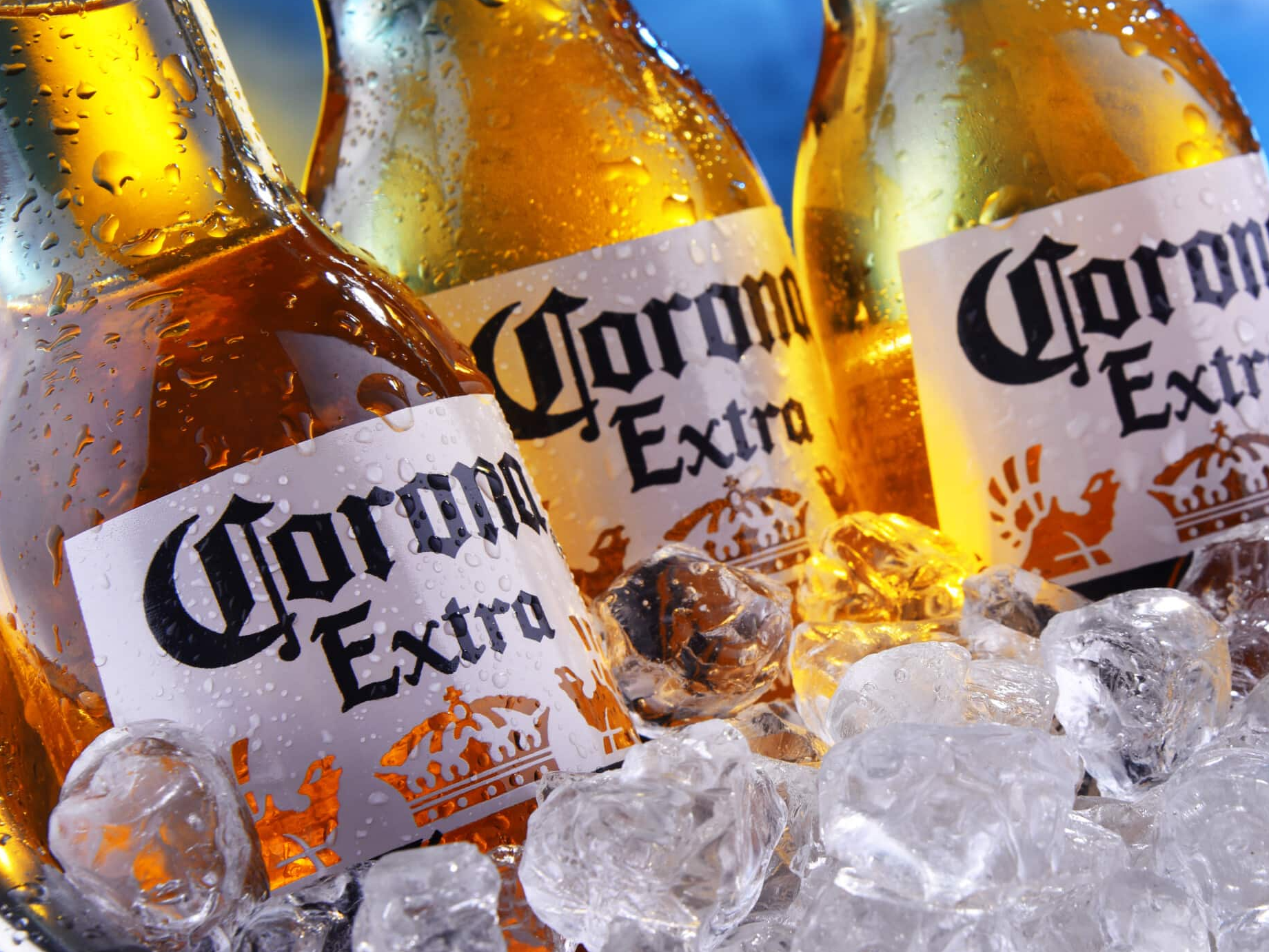 CERVEZA CORONA