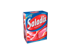 SALADIX CAJA JAMON 100G