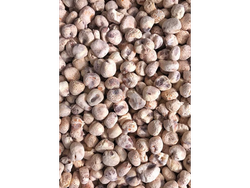BURBUJAS TUTUCAS CHIL BOLSON ENORME X 1 KG