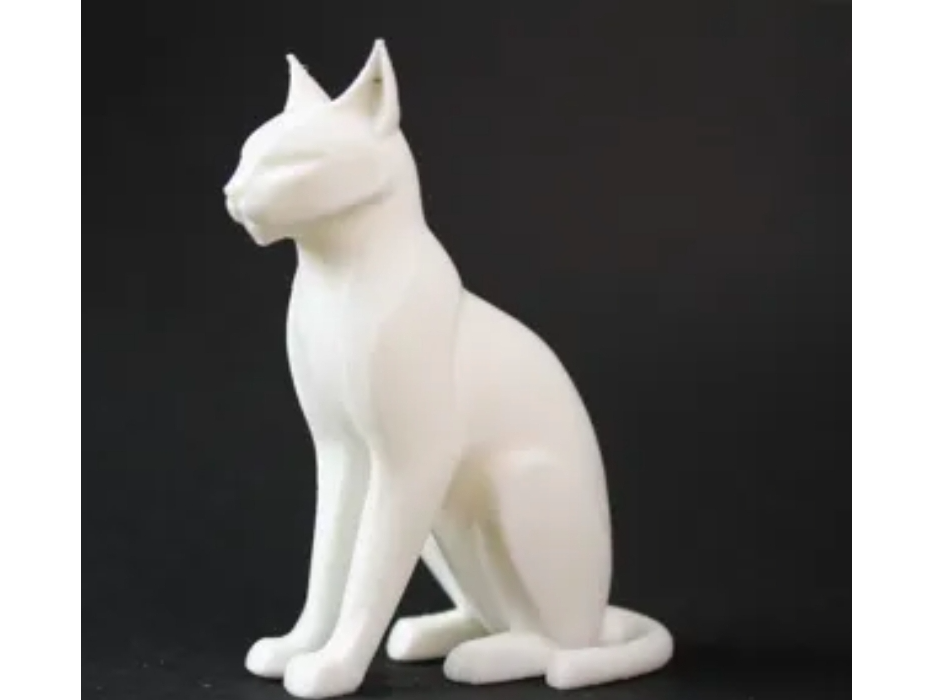 GATO BLANCO