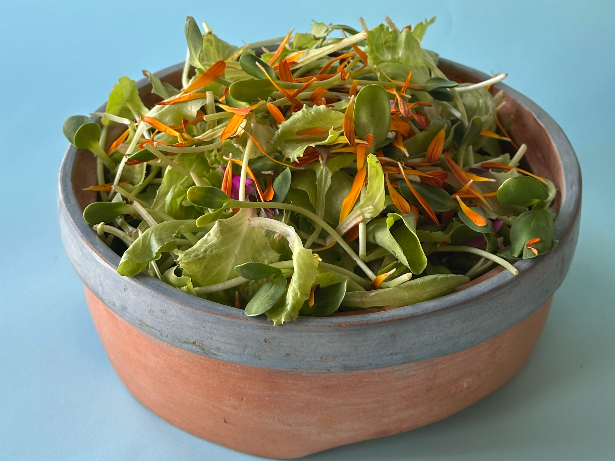 Ensalada de Estación