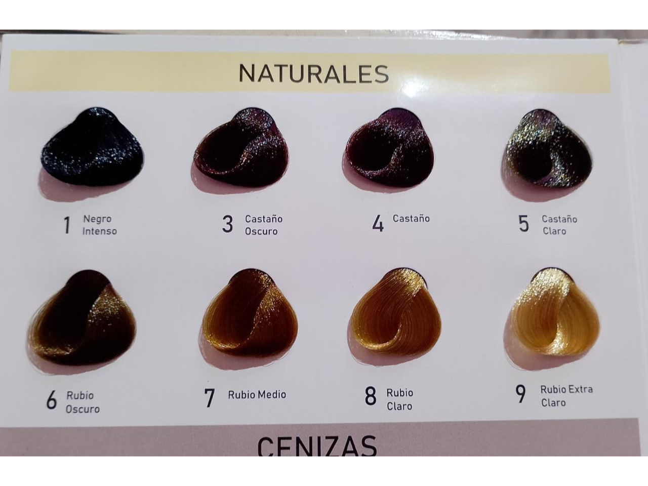 Carta de beauty