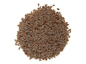 Semilla psyllium