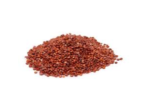 Semilla Quinoa Roja