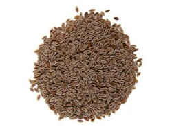 Semilla de Psyllium