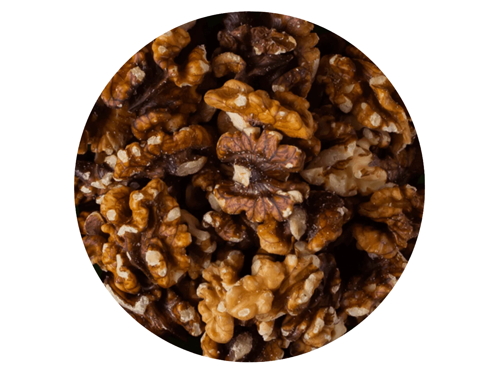 Nuez Cobriza