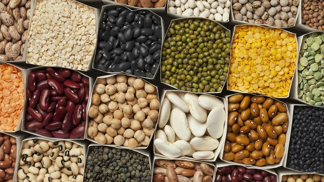 LEGUMBRES Y TEXTURIZADOS