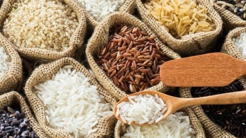 ARROZ, MAIZ, TRIGO Y OTROS