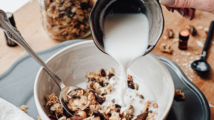 BEBIDAS/ LECHES VEGETALES/ YOGURT