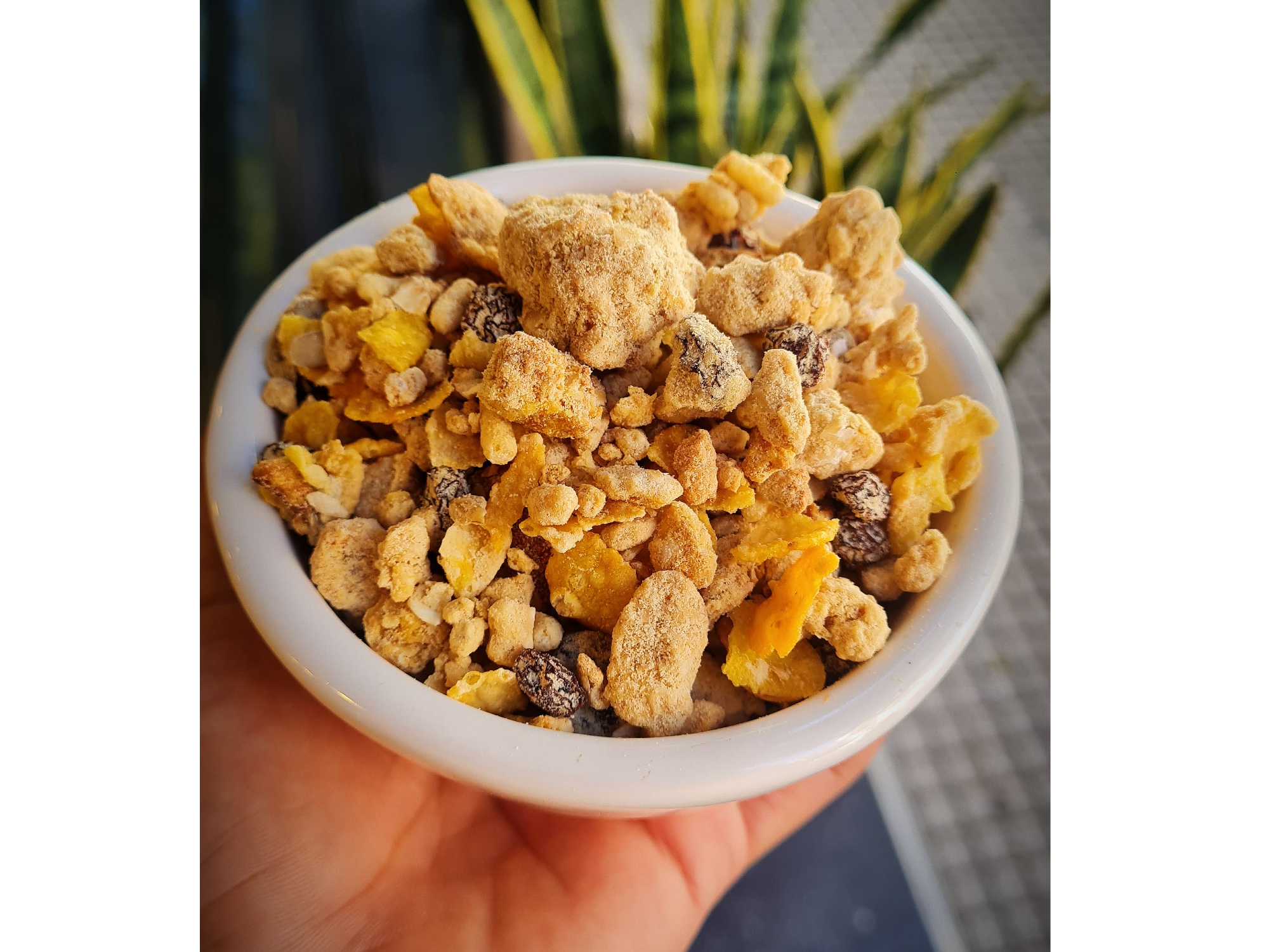 Granola Proteica Muscle Pro
