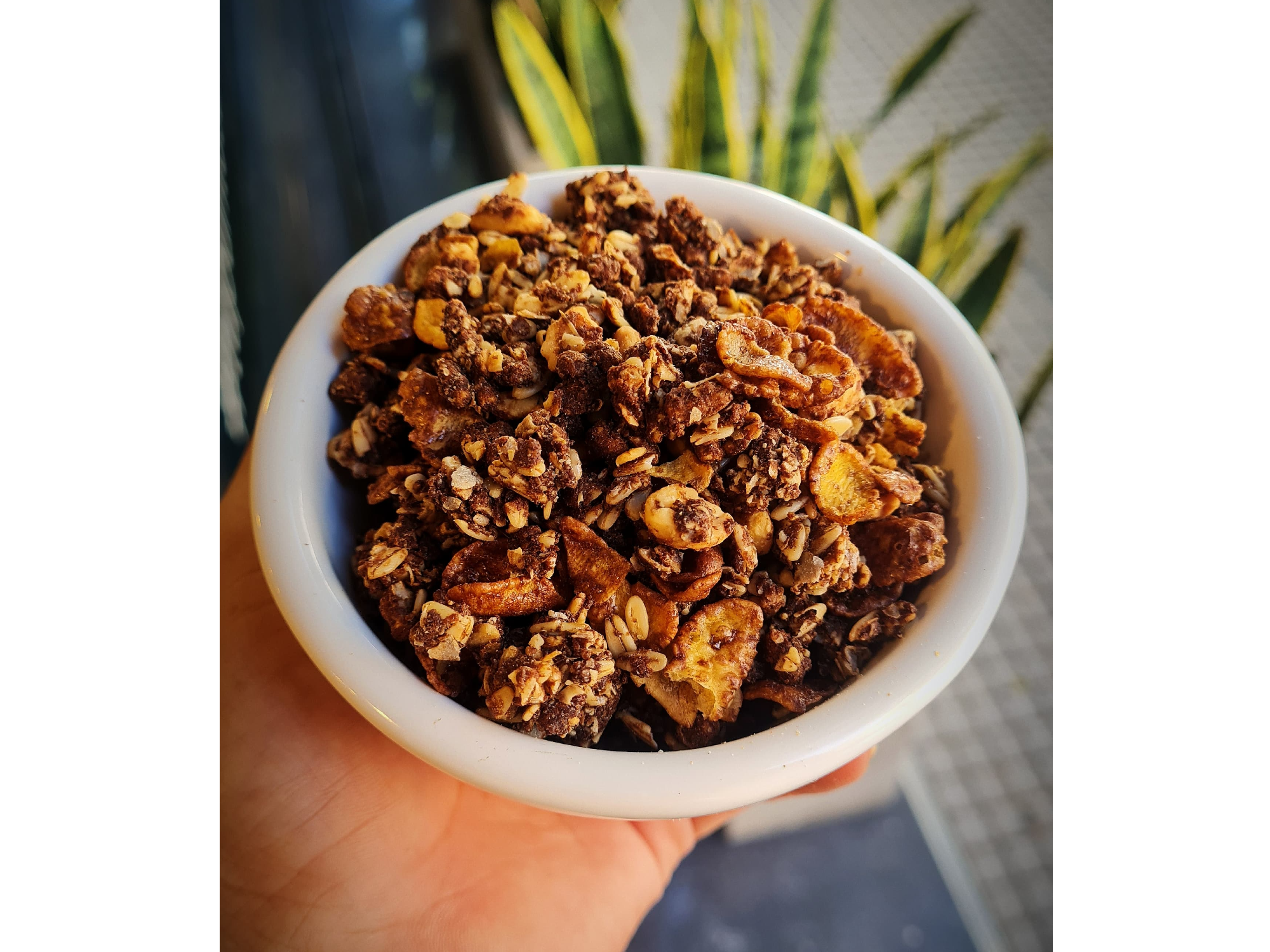 Granola de Chocolate