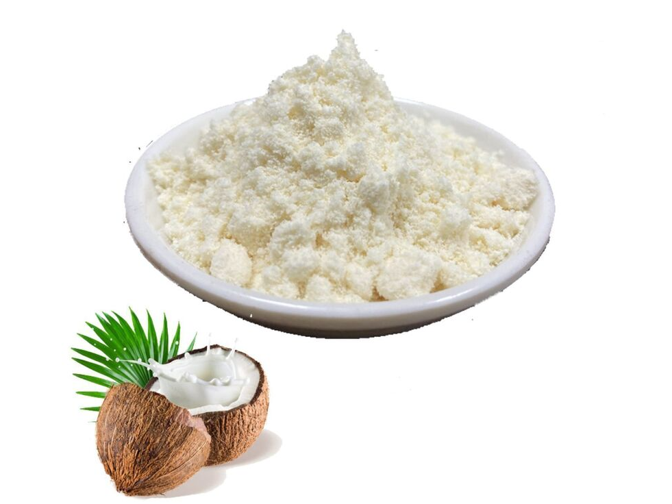LECHE DE COCO EN POLVO