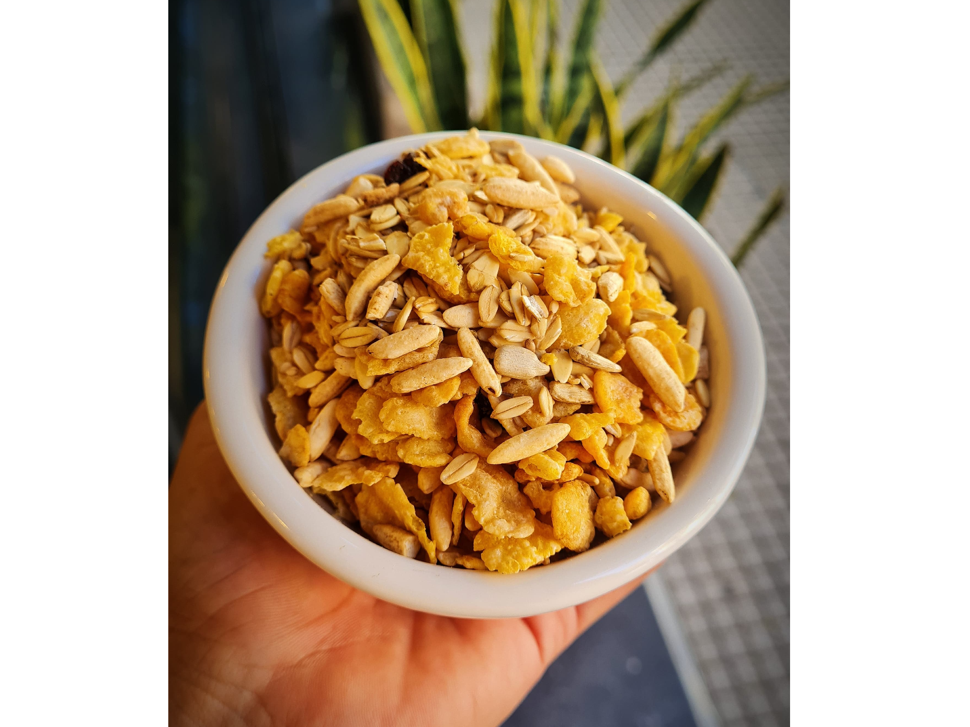 Granola Clásica con omega 3-6