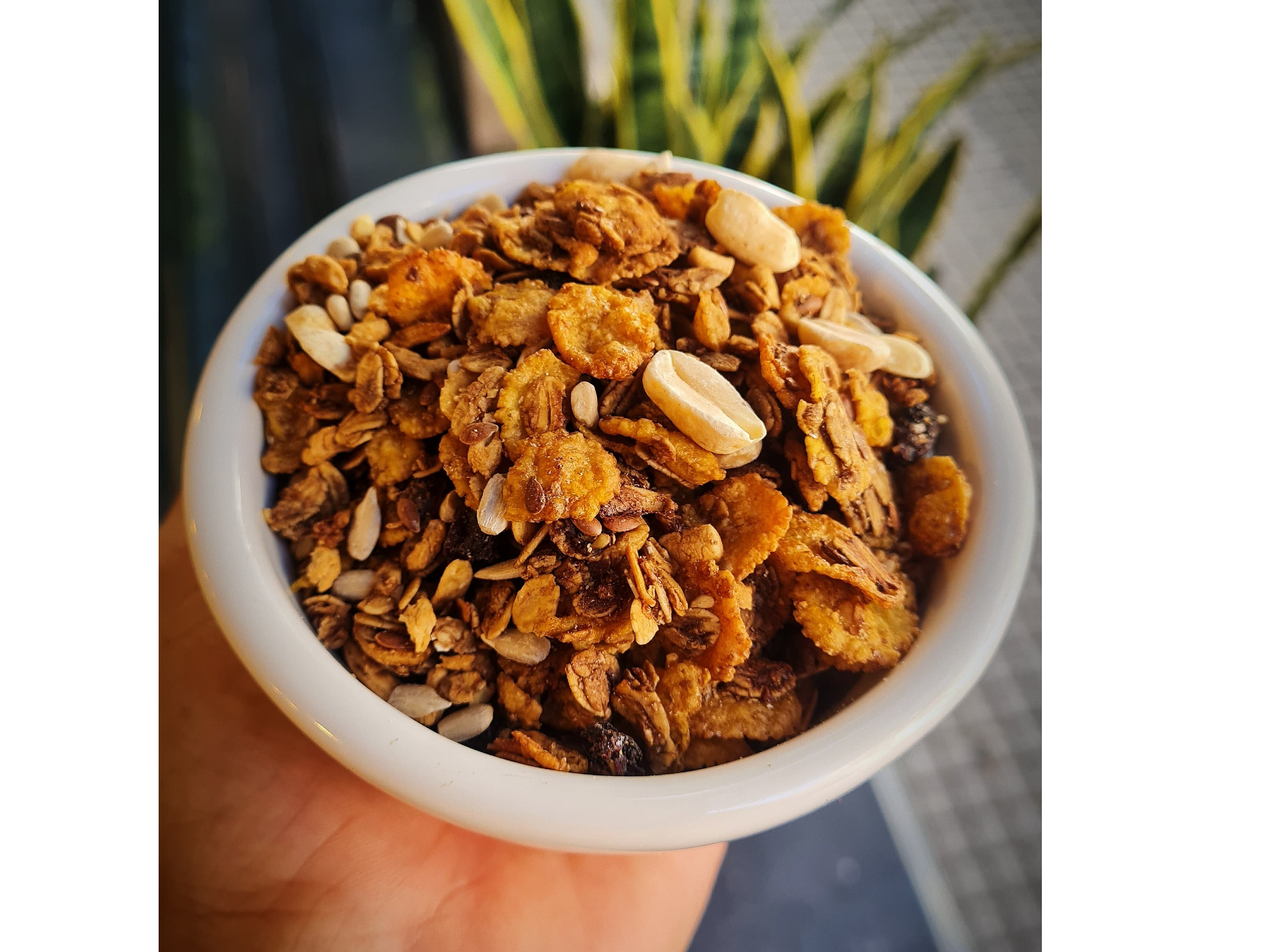 Granola Proteica con Miel y Azucar mascabo