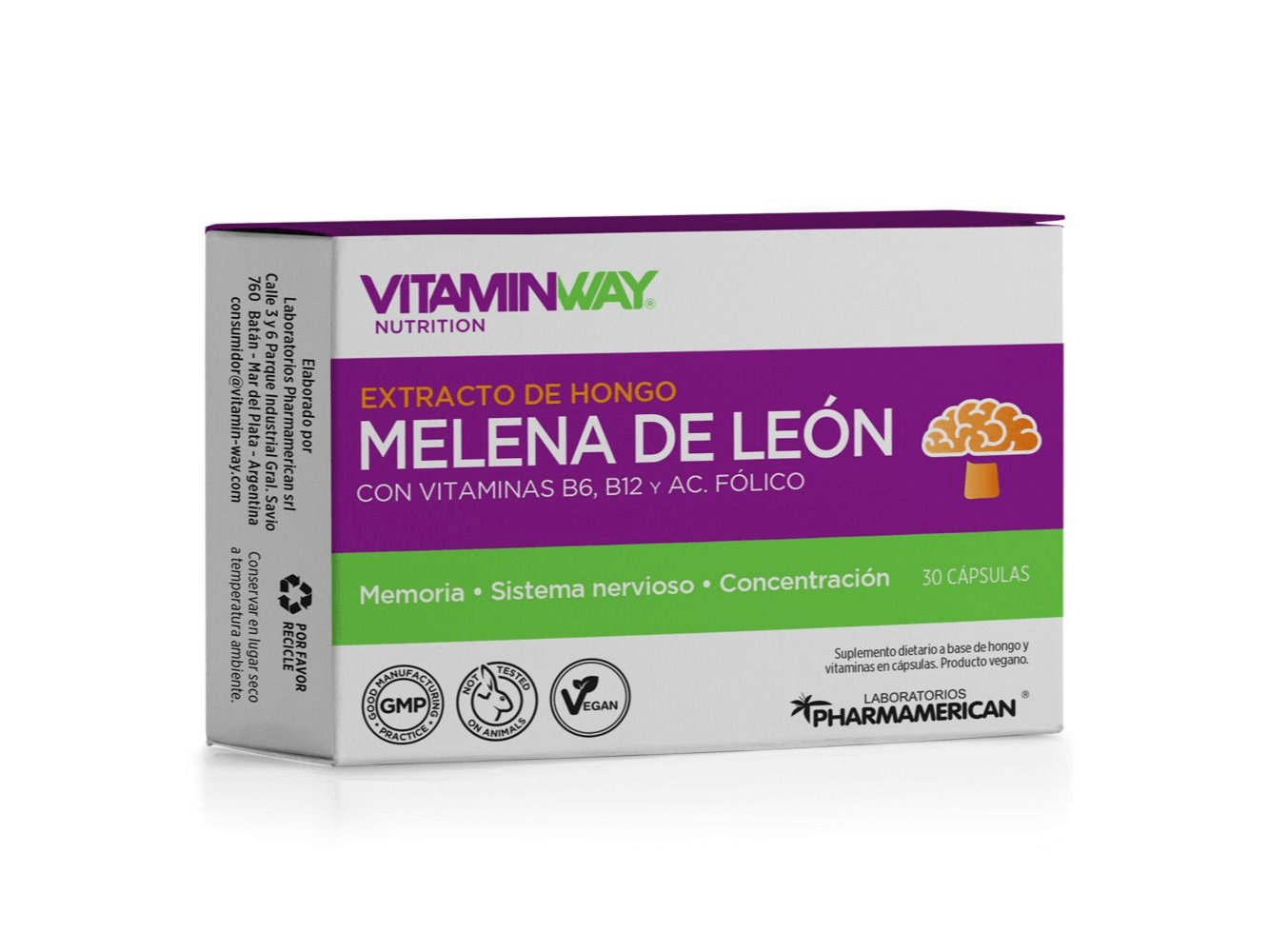 melena de leon vitamin way