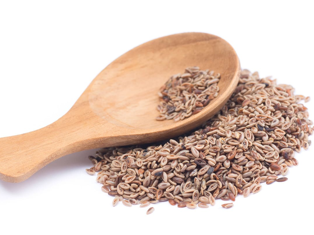 SEMILLAS DE PSYLLIUM