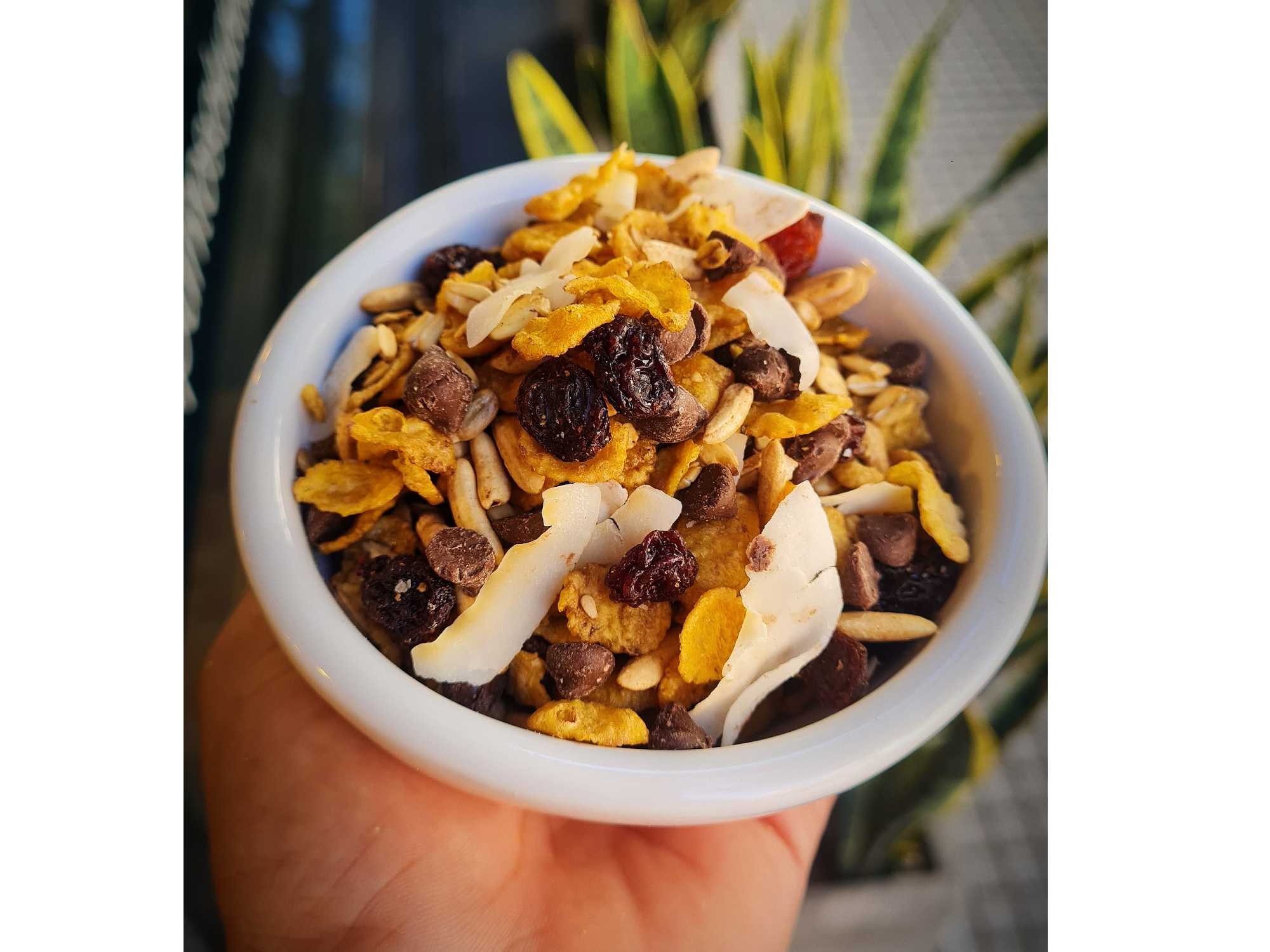 Granola con Chips de Chocolate