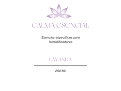 LAVANDA