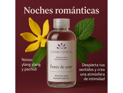 NOCHE ROMANTICA