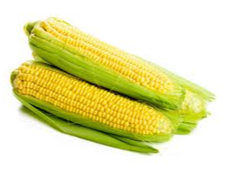 Choclo crema x unidad