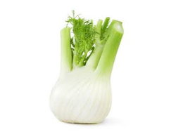 Hinojo cabeza x unidad