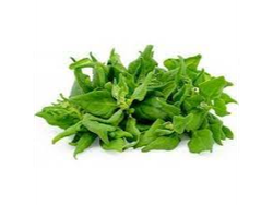 Espinaca de verano bolsita