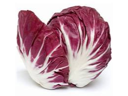 Achicoria morada x kg