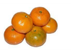 Mandarina Ellen Dalen / Murcott x kg