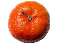 Mandarina Ellen Dalen x kg