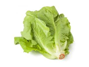 Lechuga criolla x kg