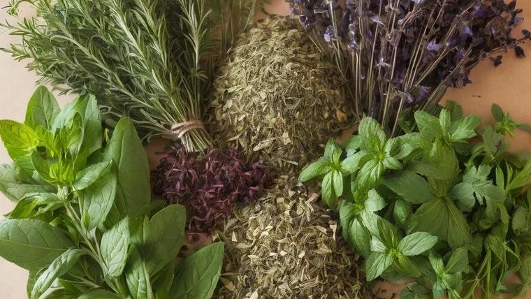 YERBAS Y HIERBAS AROMÁTICAS