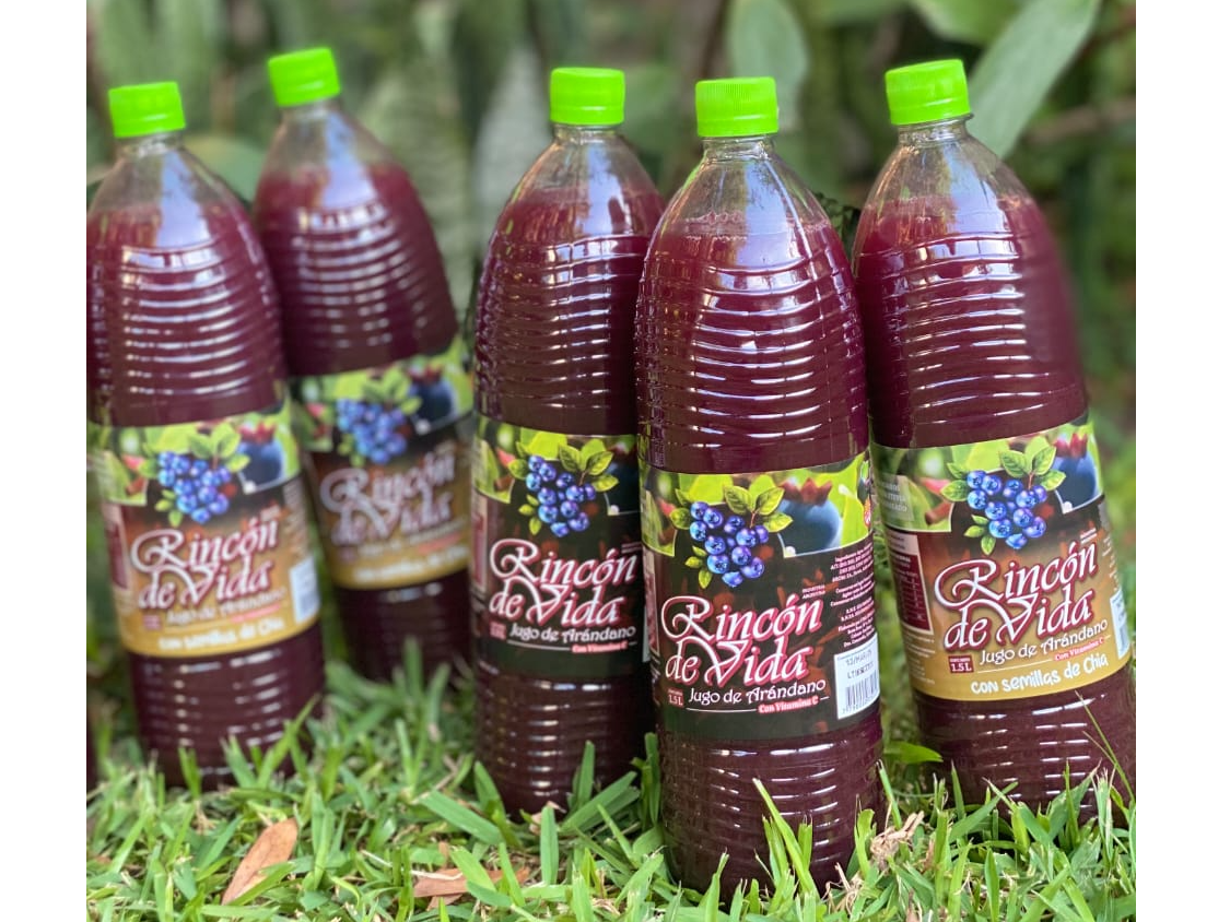 Jugo de arandanos sin chia x 1,5 lts
