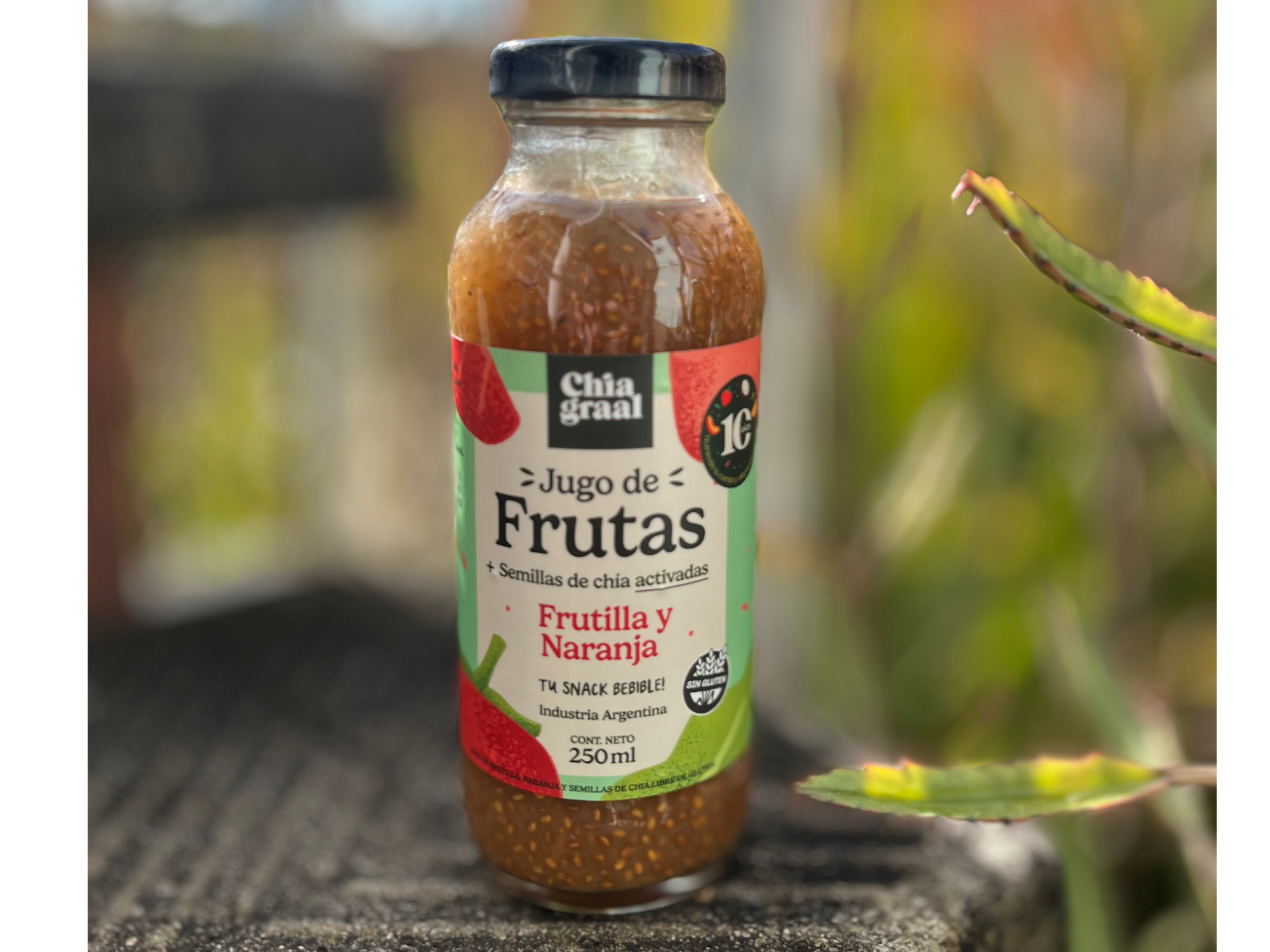Jugo de  frutilla, naranja y semillas de chia x 250ml