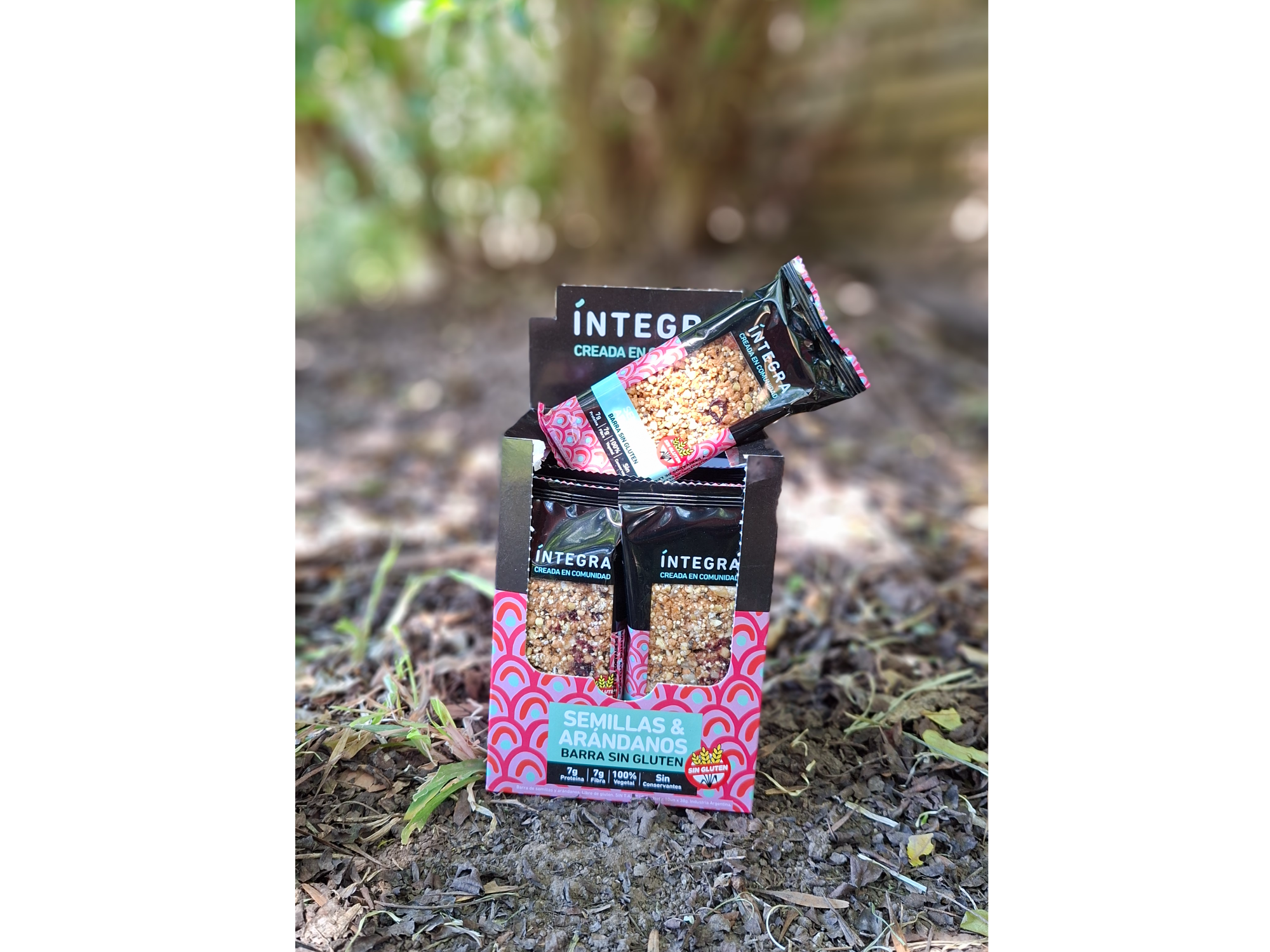 Barrita de cereal aeandanos y semilla