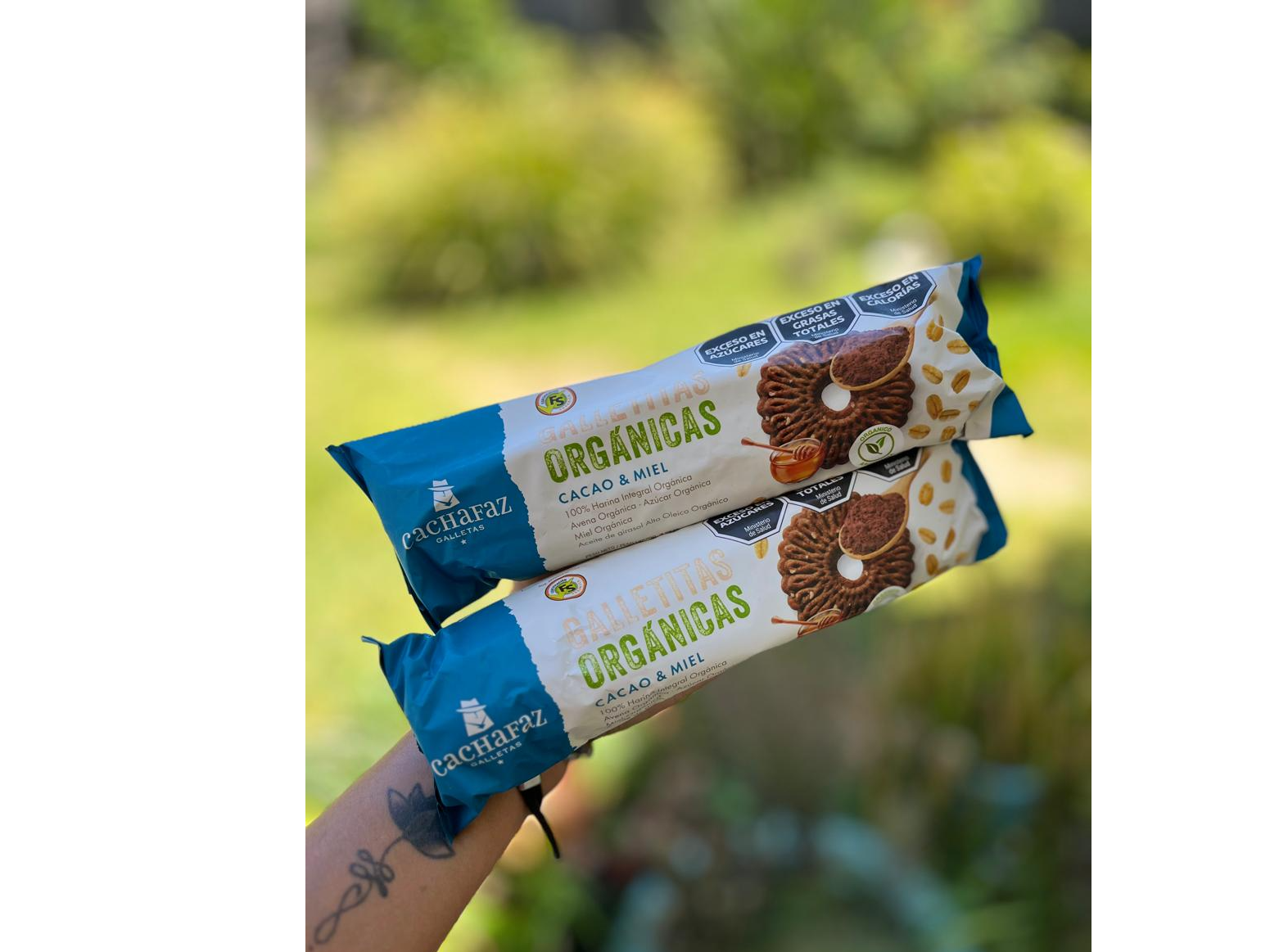Galletas organicas cacao y miel x 170grs