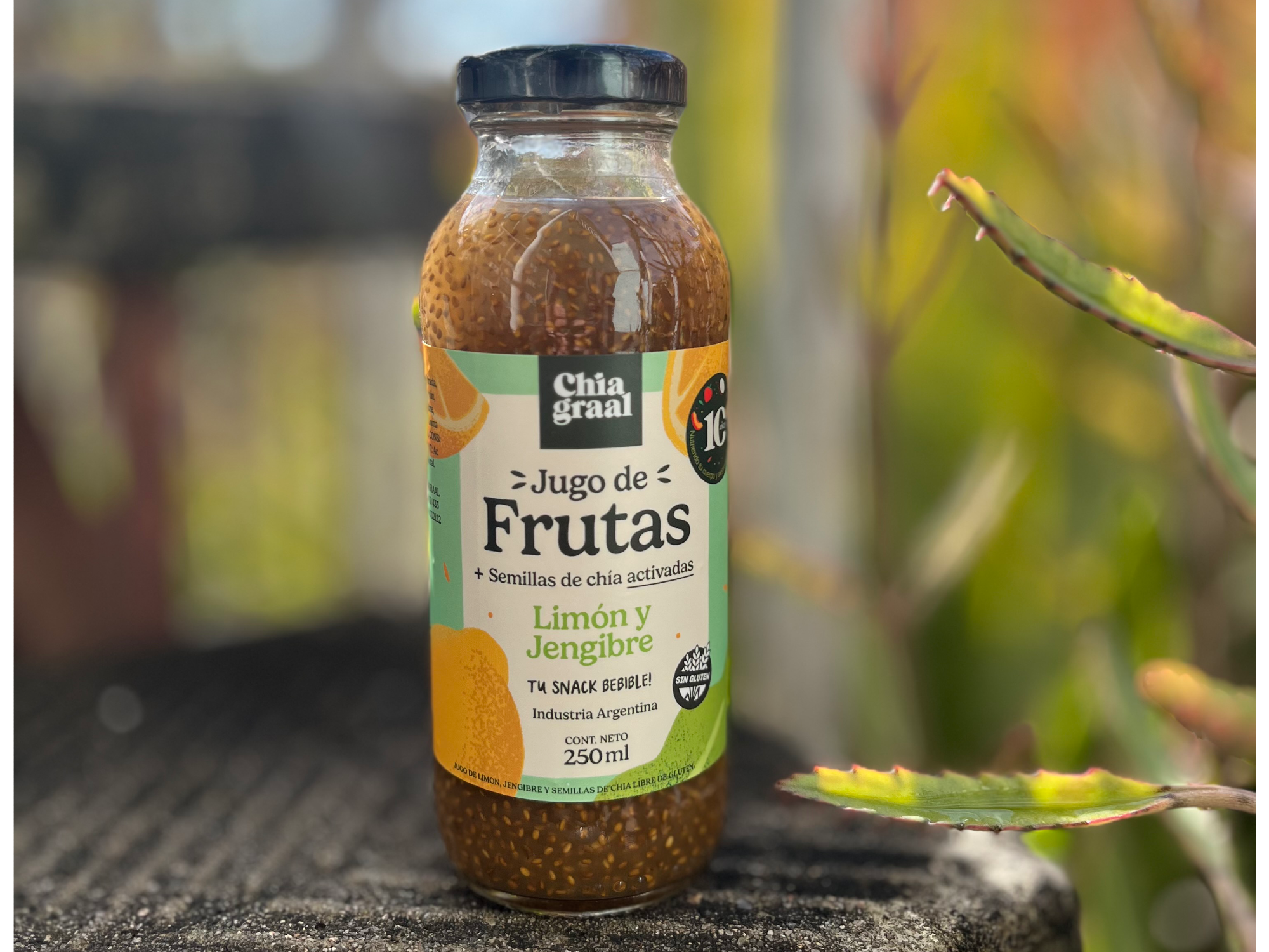 Jugo de limon, jengibre y semillas de chia x 250ml
