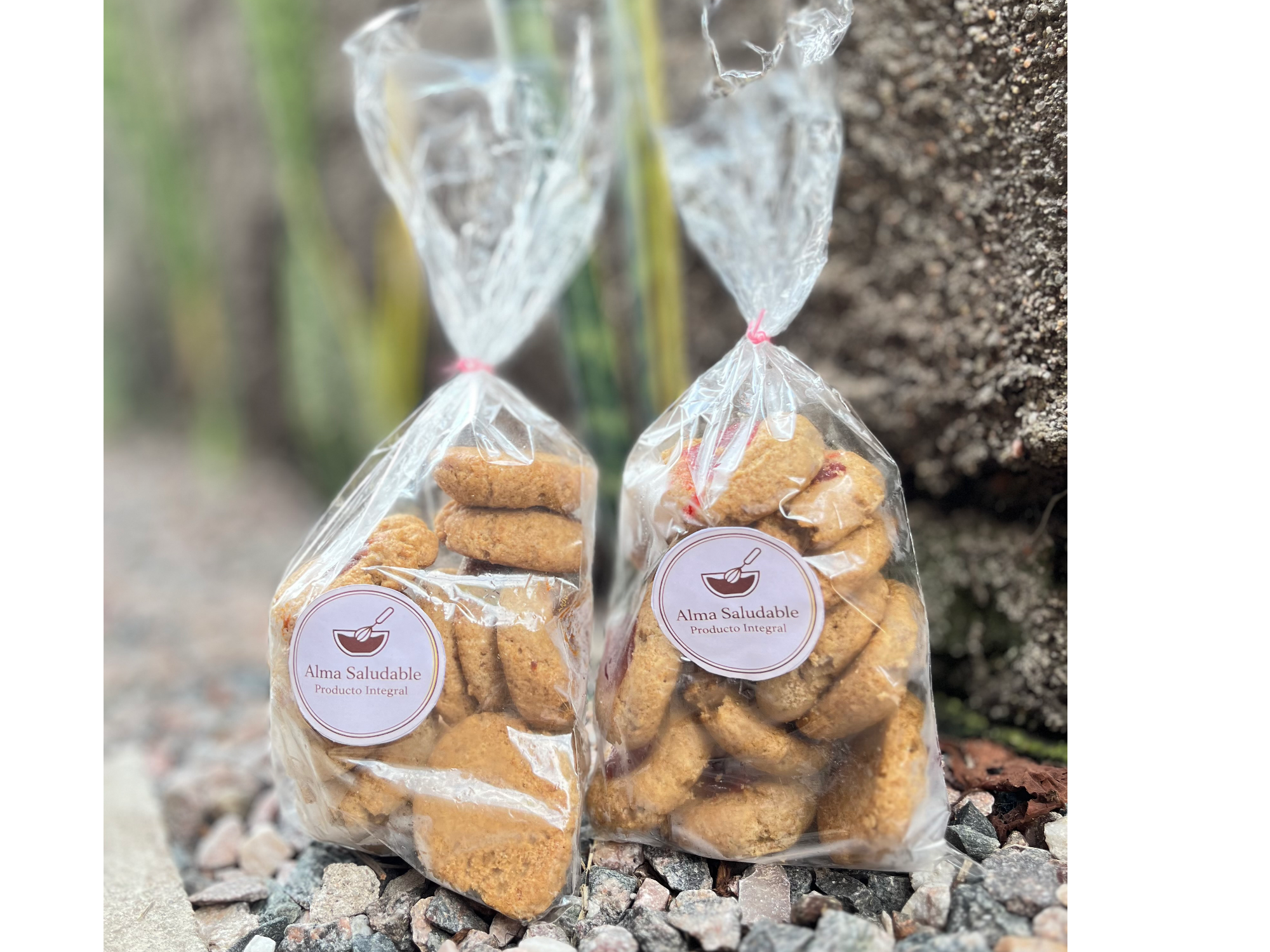 Galletas Pepas dulce de leche