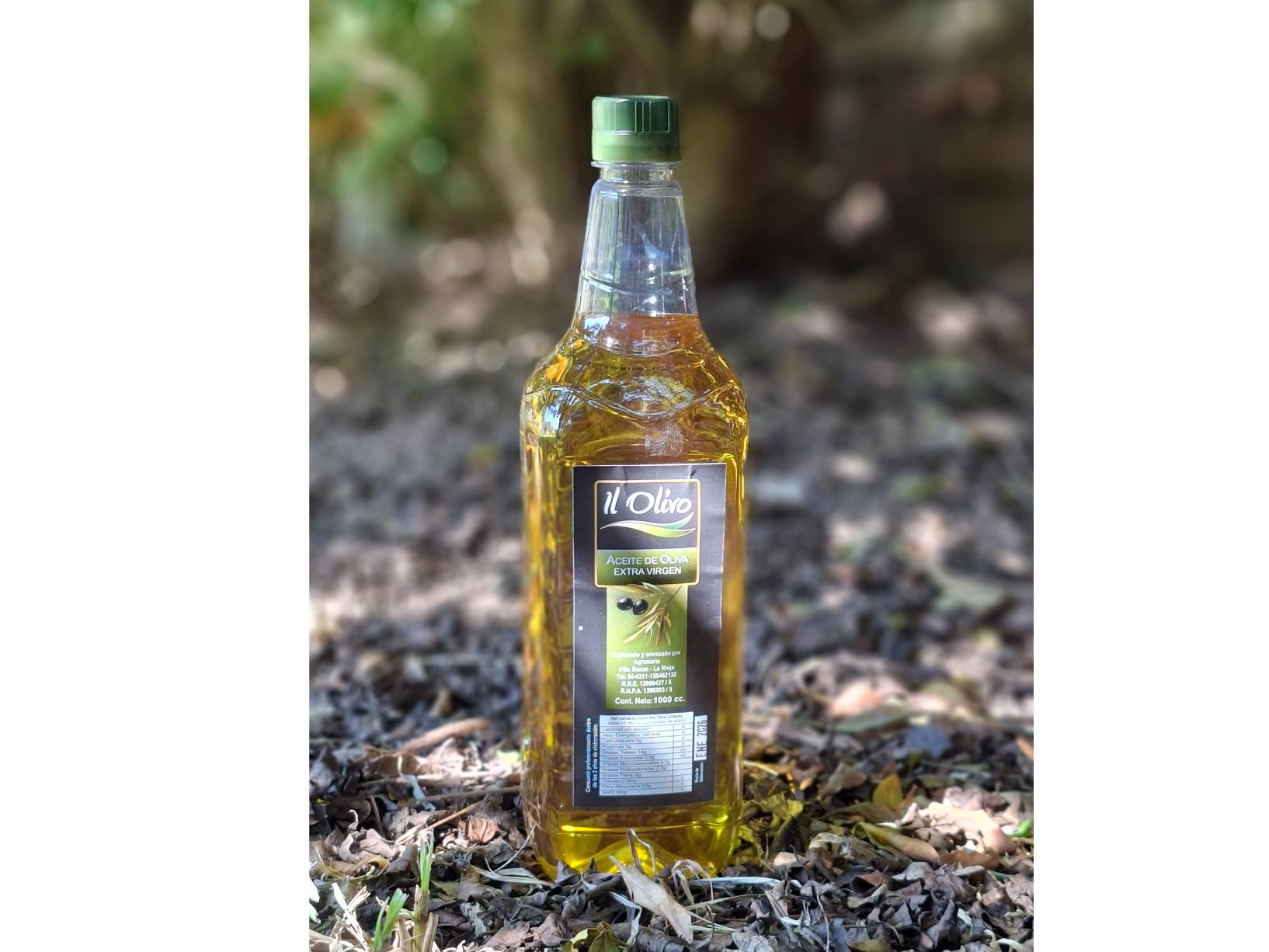 Aceite de oliva extra virgen - IL OLIVO - x 1lts