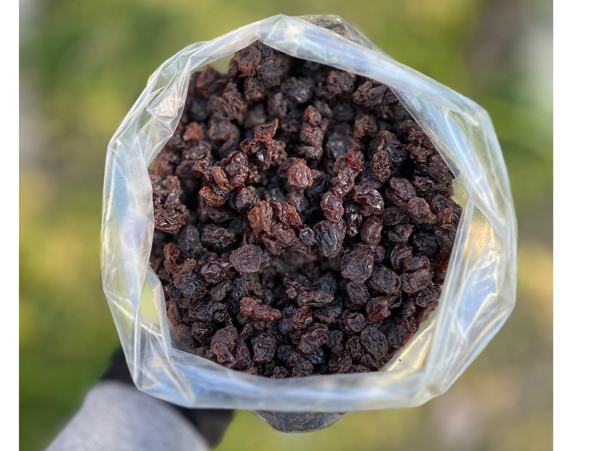 Pasas de uvas s/semilla