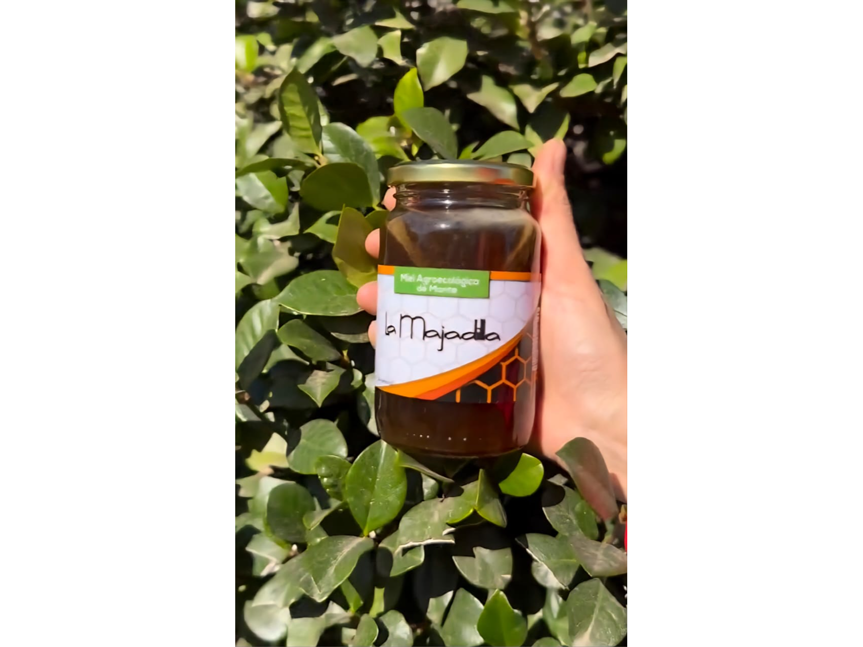 Miel agroecologica de monte - LA MAJADILLA - x 480 cc