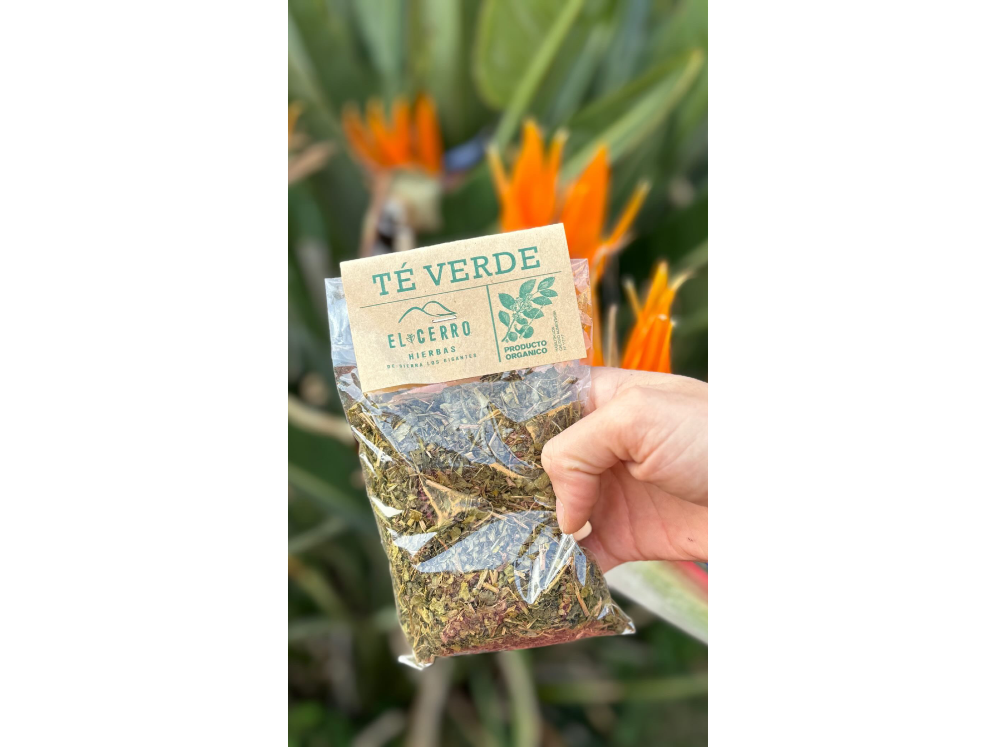 Te verde - El Cerro Hierbas.